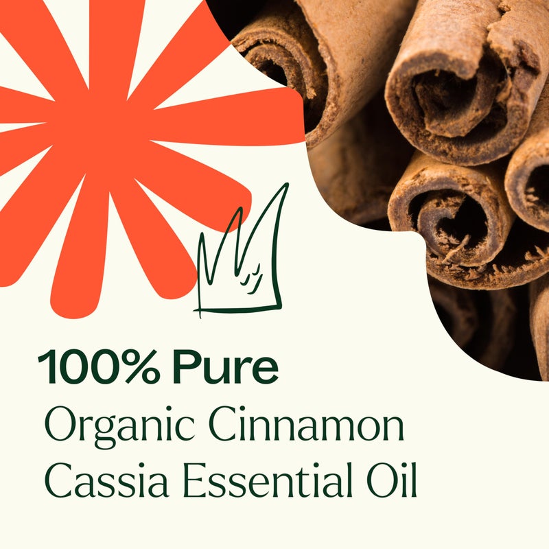 Plant Therapy USDA Certified Organic Cinnamon Cassia Essential Oil 10 mL (1/3 oz) 100% Pure, Undiluted, Cozy Aroma, Soothes Sore Muscle - Image 5